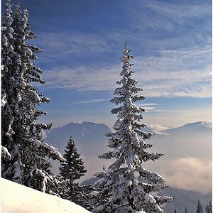 Winterwonderland ....
