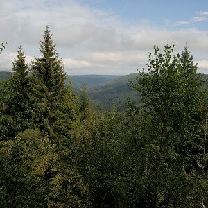 comp DSC 0903 bearbeitet