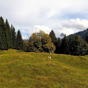 comp DSC 1084 bearbeitet

am Berggasthof Hochleite