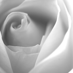 ND8 3006 1000 sw