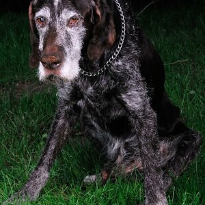 16. Juni 2012 Axel