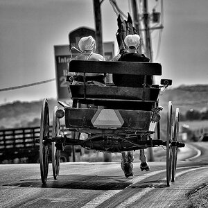 DSC 2741 1bwsilv filtered