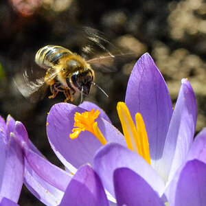 20120315 071