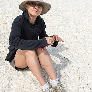 schatzy und die muscheln