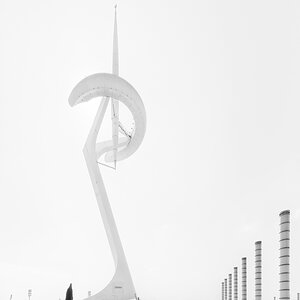 006
