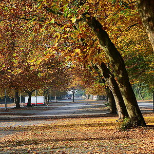 Herbst
