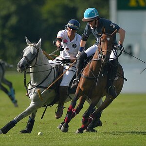 aacomp polo 20120901 1528