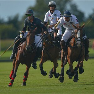 aacomp polo 20120901 1381