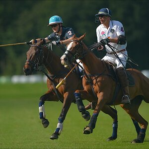 aacomp polo 20120901 1315