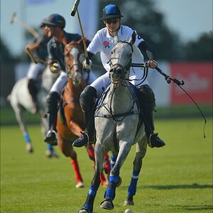 aacomp polo 20120901 1184