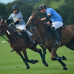 aacomp polo 20120901 0901