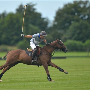 aacomp polo 20120901 0595