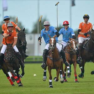 aacomp polo 20120901 0444
