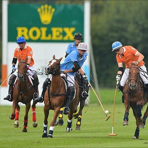 aacomp polo 20120901 0390