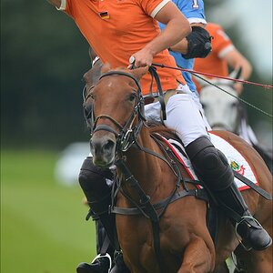 aacomp polo 20120901 0170