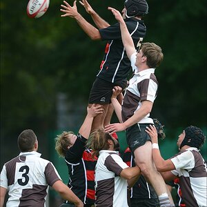 aacomp HRC vs Pauli 20120915 0163