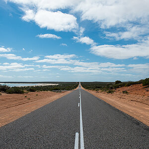 shark bay2
