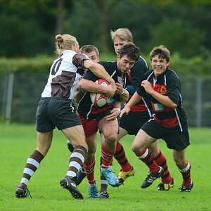 aacomp HRC vs Pauli 20120915 0516
