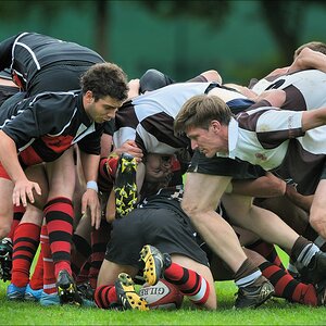 aacomp HRC vs Pauli 20120915 0784