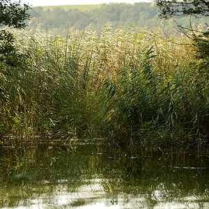 Am Gothensee DSC 0850x