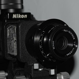 comp  ROL52801301 ROL5280