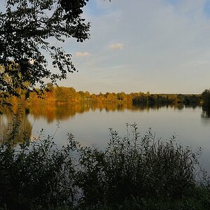 comp DSC 1515 bearbeitet