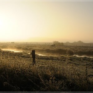 Morgens am Meenteland