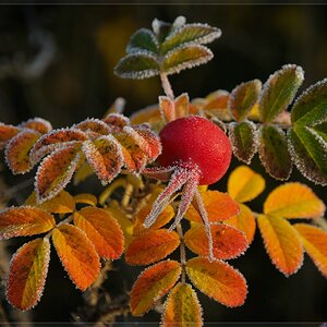 Herbstfarben