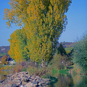 ND8 2551 1000