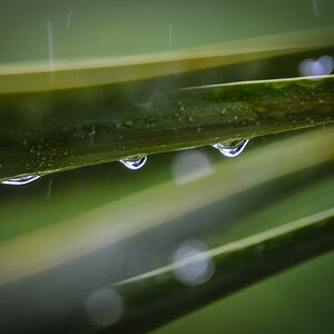 20120612 072 Kopie