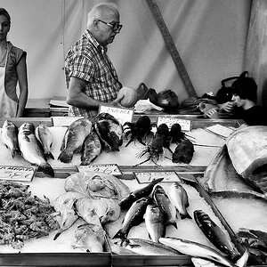 fischmarkt 2 sw
