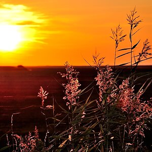 Sonnenuntergang Nessmersiel