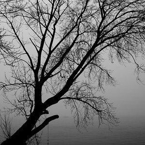 20121116 0033