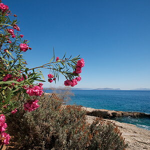 Insel 268