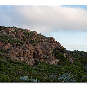 naturaliste1