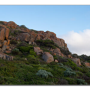 naturaliste2
