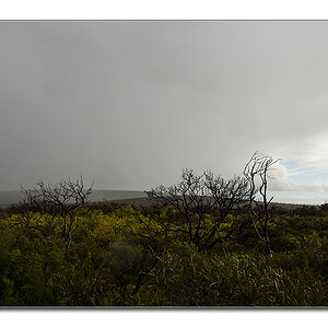 naturaliste4