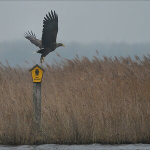 aacomp usedom 20121117 0301