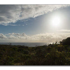 naturaliste6