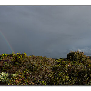 naturaliste7