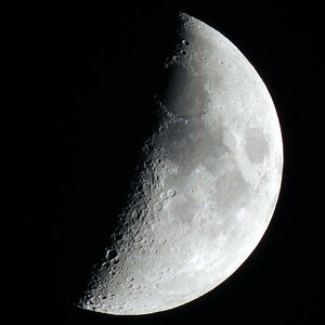 Mond