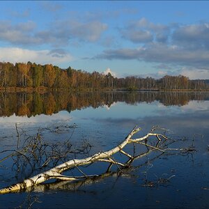 aacomp hasenmoor 20121027 0528