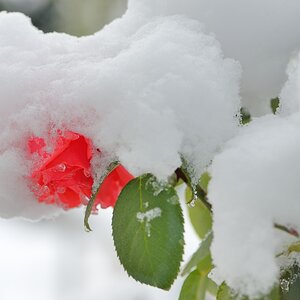 Wintereinbruch29Okt2012