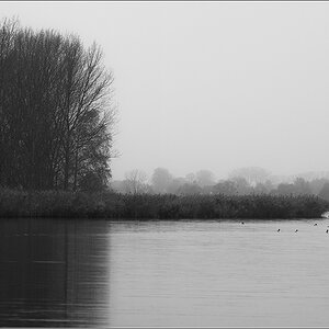 stimmung