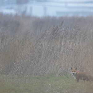 aacomp usedom 20121117 0621