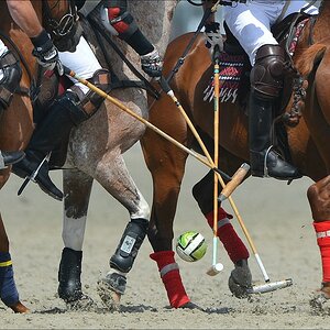 aacomp beachpolo 20120623 0326