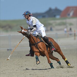 aacomp beachpolo 20120623 0402