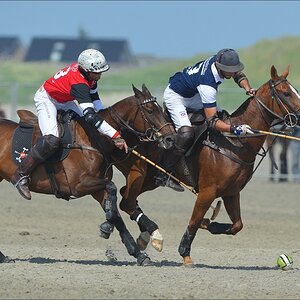 aacomp beachpolo 20120623 1991