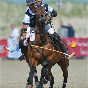 aacomp beachpolo 20120623 2233
