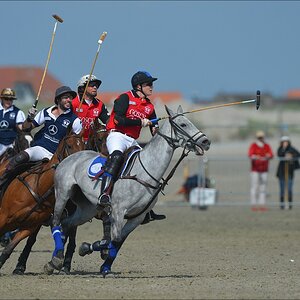 aacomp beachpolo 20120623 1647